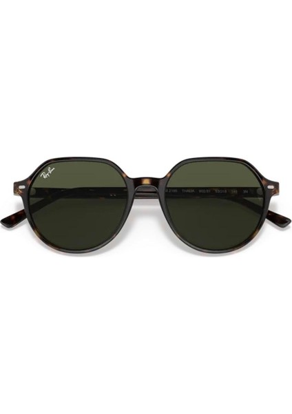 RB2195 902/31 55 Unisex Güneş Gözlüğü indirimleri