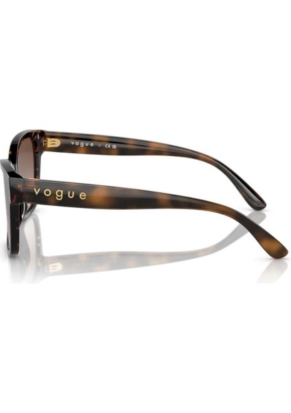 Eyewear VO5534SI W65613 53 Kadın Güneş Gözlüğü modelleri