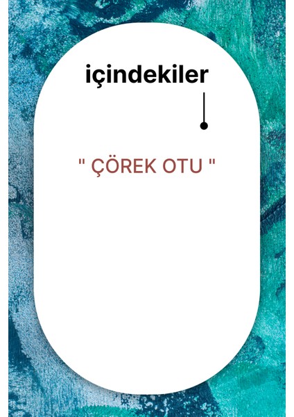 Çörek Otu Sabunu 140 G