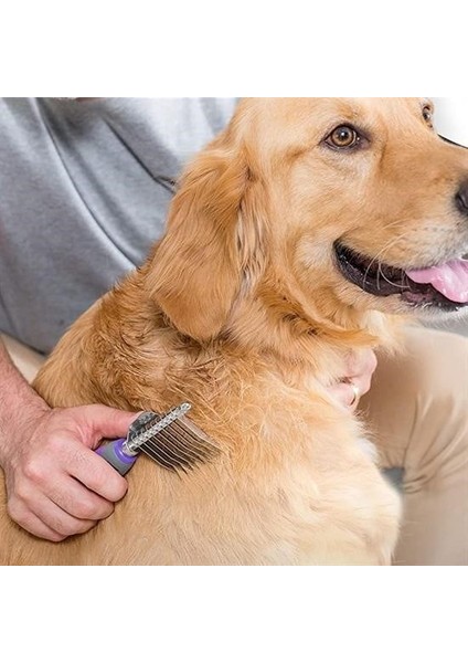 Düğüm Açıcı Pet Fırçası Emniyetli Uzun ve Çelik Dişli Kedi Köpek Tüy Kıtık Açma Tarağı indirimleri