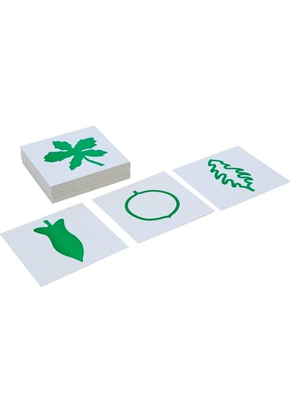 Montessori Yaprak Kartları Kabin Çalışma Kartları