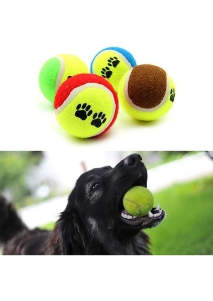 3'lü Renkli Desenli Tenis Topu Kedi Köpek Oyuncağı