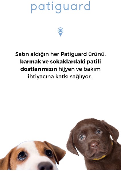 Pet Bakım Spreyi Nano Gümüş Evcil Hayvan Kedi Köpek Hijyen Temizlik Koku Giderici 100ml