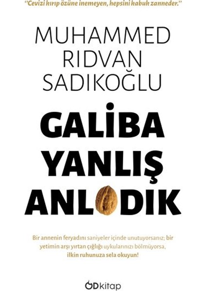 Galiba Yanlış Anladık - Muhammed Rıdvan Sadıkoğlu
