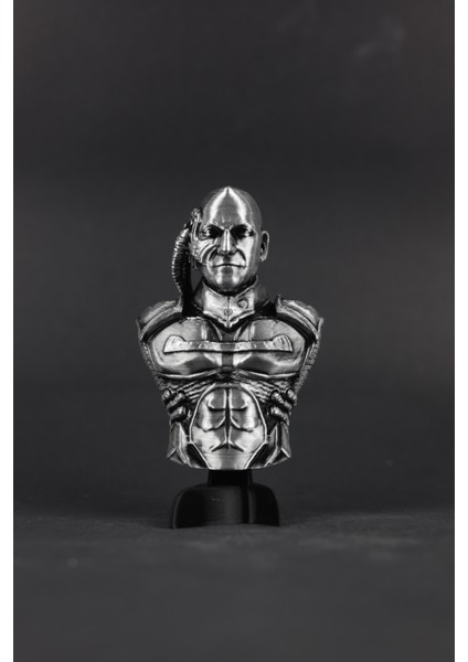 Star Trek : Picard - Figür / Büst