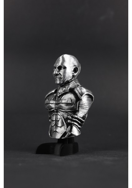 Star Trek : Picard - Figür / Büst fiyatları