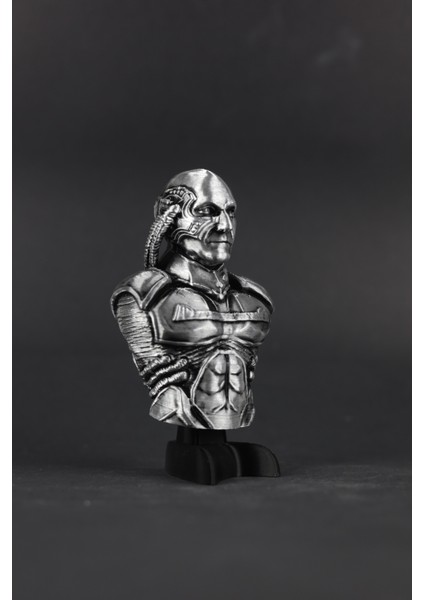 Star Trek : Picard - Figür / Büst modelleri