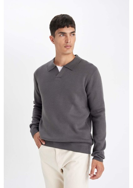 Standart Fit Normal Kesim Polo Yaka Triko Kazak D4046AX24WN modelleri