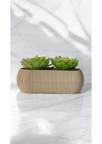 Tekno Trust Yapay Kaktüs Sempervivum Tomentosum Sukulent Bej Saksılı Açık Yeşil Renk 11 Cm.