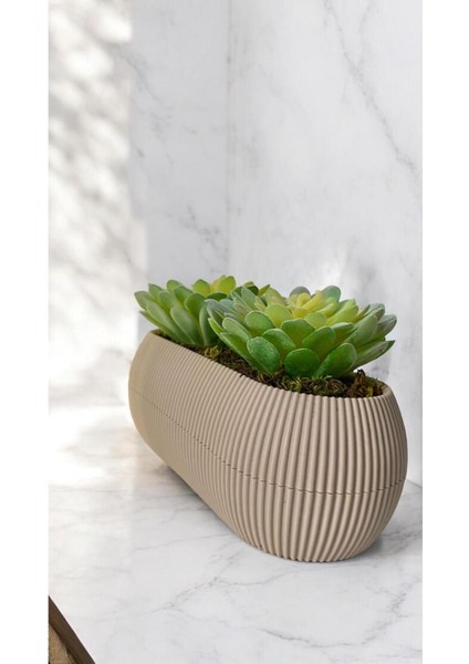 Tekno Trust Yapay Kaktüs Sempervivum Tomentosum Sukulent Bej Saksılı Açık Yeşil Renk 11 Cm.