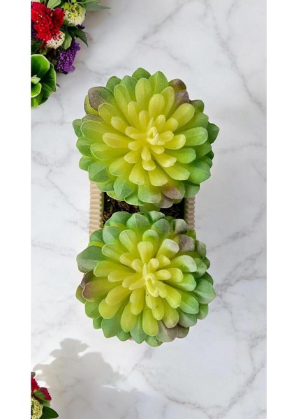 Tekno Trust Yapay Kaktüs Sempervivum Tomentosum Sukulent Bej Saksılı Açık Yeşil Renk 11 Cm.