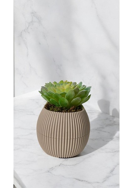 Tekno Trust Yapay Kaktüs Sempervivum Tomentosum Sukulent Bej Saksılı Açık Yeşil Renk 11 Cm.