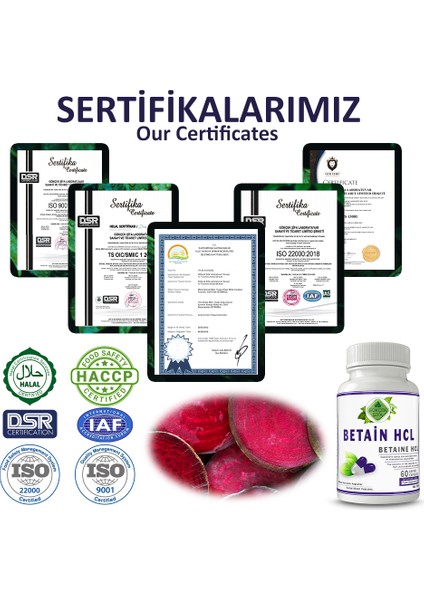 Betain HCL Kapsül (Betaine HCL Capsule)