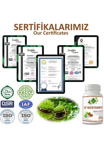 Şifa At Kestanesi Kapsül (HORSE CHESTNUT CAPCULE)