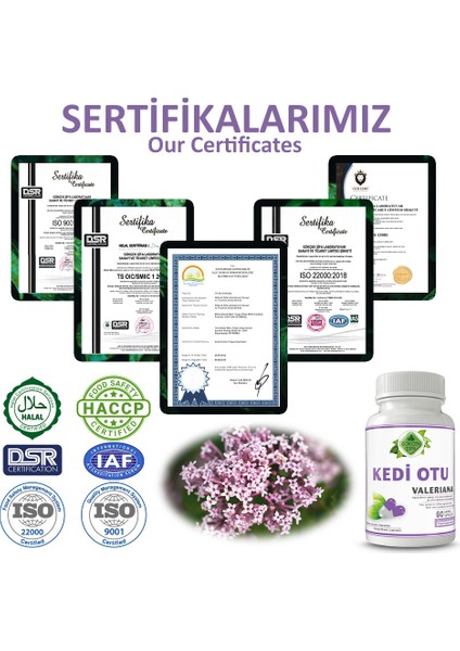 Kedi Otu Kapsül (VALERİANA CAPSULE)