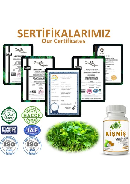 Kişniş Kapsül (CORİANDER CAPSULE)
