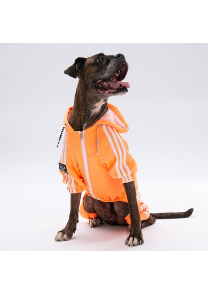 Turuncu Tuta Orta-Büyük Irk Köpek Tulumu