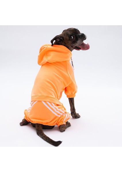 Turuncu Tuta Orta-Büyük Irk Köpek Tulumu modelleri