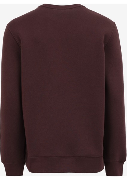 Kahve Erkek Bisiklet Relaxed Fit Nakışlı Sweatshirt D4WM-SWT3276