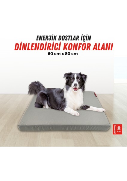 Patiminder Köpek Yatağı Büyük Irk Köpek Yatağı Büyük Köpek Yatakları 60X80cm