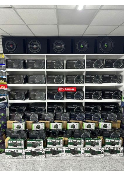 Apocalypse 300 Rms AP-M81 Ac Arnold Profesyonel Midrange