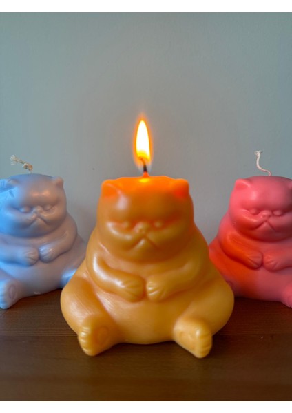 Dekoratif Tombul Tatlı Kedi Mum Kediseverler Için Kokulu Kedi Obje Mum fırsatları