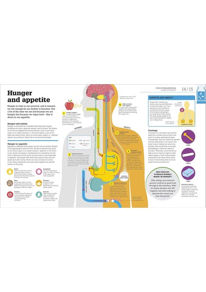 How Food Works: The Facts Visually Explained