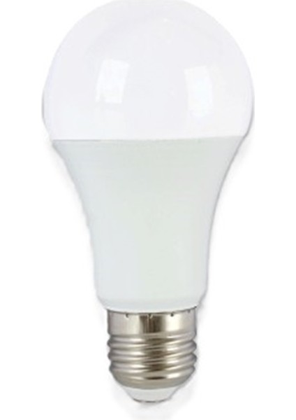LED Ampul 10W Ampul Gün Işığı E27 Normal Duylu 900 Lümen - 4 Adet