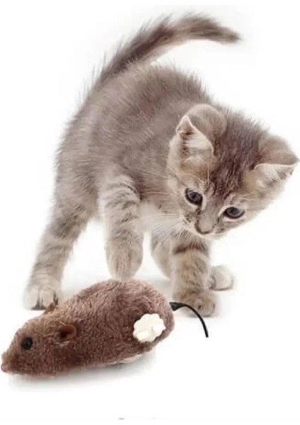 Kurmalı Fare Kedi Oyuncağı Eğitici Tüylü Yaratıcı Oyuncak