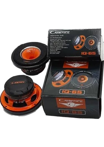 IQ65 16 cm Midrange 250 Watts