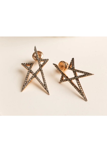 Anka Pırlanta Küpe fiyatları