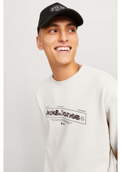 Alpha Erkek Sweat 12266495 12266495015 modelleri