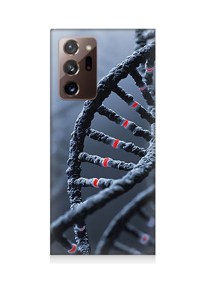 Samsung Galaxy Note 20 Ultra Uyumlu Dna Sarmalı Desenli Silikon Kılıf