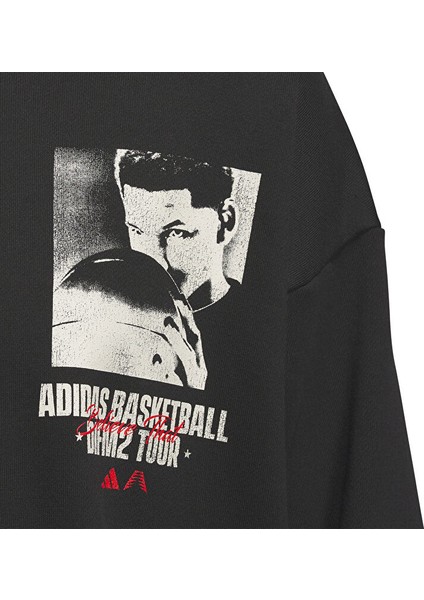 Adidas Ae Gfx Hoody Erkek Basketbol Sweatshirts IY1592 Siyah