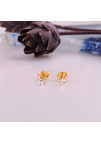 925 Ayar Gümüş Minimal Tektaş Küpe- Çap:2,5 mm fırsatları