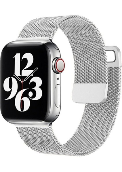 Apple Watch 5/6/7/8/se 38MM 40MM 41MM Watch 10 42MM Uyumlu Metal Hasır Kordon