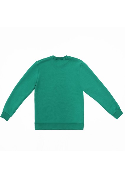 Balina Nakışlı Sweatshirt Özel Tasarım Echo Unisex Şardonlu fiyatları