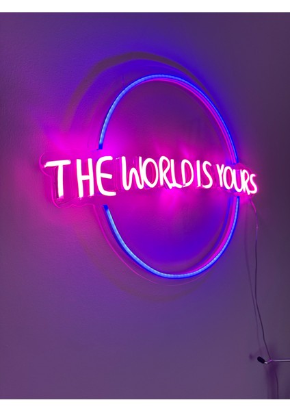 The World Is Yours Neon LED Dekorasyon Aydınlatma Uzaktan Kumandalı Pembe ve Mor Renk Pleksi