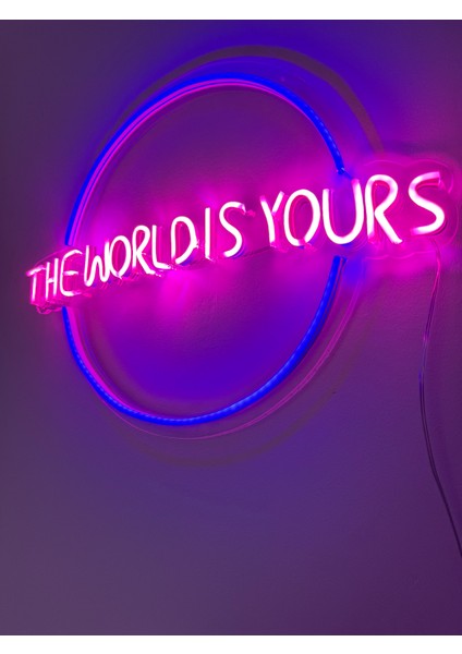 The World Is Yours Neon LED Dekorasyon Aydınlatma Uzaktan Kumandalı Pembe ve Mor Renk Pleksi