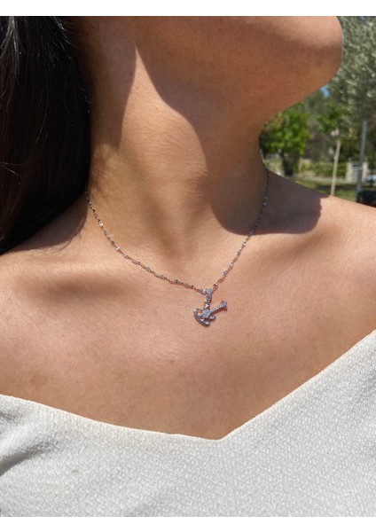 Zirkon Taşlı Gitar Model 316L Çelik Kadın Kolye fiyatları