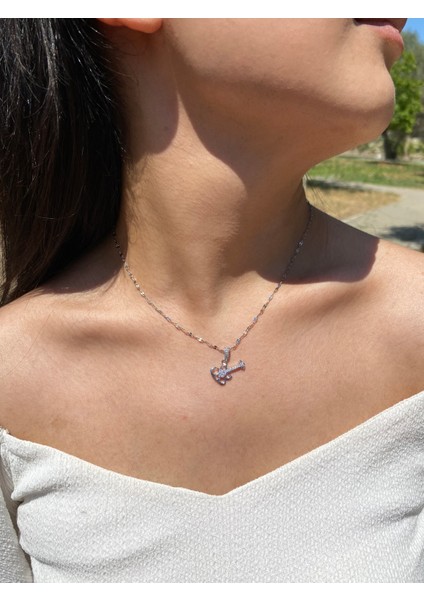 Zirkon Taşlı Gitar Model 316L Çelik Kadın Kolye modelleri