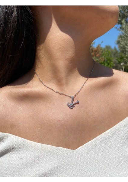 Zirkon Taşlı Gitar Model 316L Çelik Kadın Kolye fırsatları