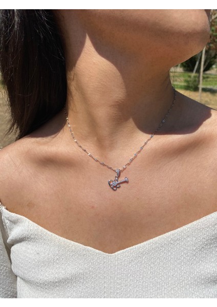 Zirkon Taşlı Gitar Model 316L Çelik Kadın Kolye indirimleri