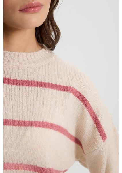 Kadın Anita Kemik-Pembe Çizgili Bisiklet Yaka Triko Kazak fiyatları