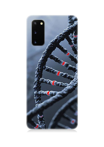 Samsung Galaxy S20 Uyumlu Dna Sarmalı Desenli Silikon Kılıf