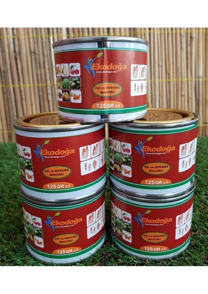 Aşı Macunu 5 Adet 125 gr modelleri