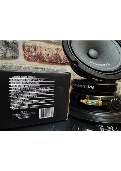 Massive 16 cm Midrange BS6TX Modeli 120 Rms 350 Wat