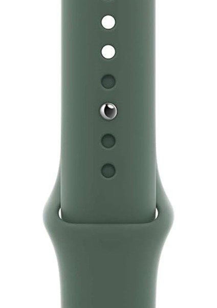 Seri 1/2/3/4/5/6/7/8/se/ultra 42-44-45-49MM S10(46) MM Kordon Kayış Bileklik Klasik Kaliteli Silikon