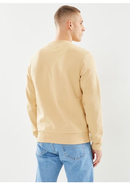 Erkek Klasik Fit Bisiklet Yaka Bej Sweatshirt