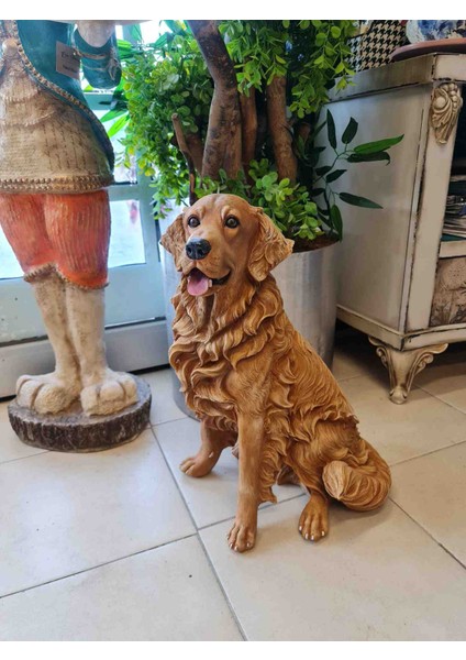 Golden Köpek